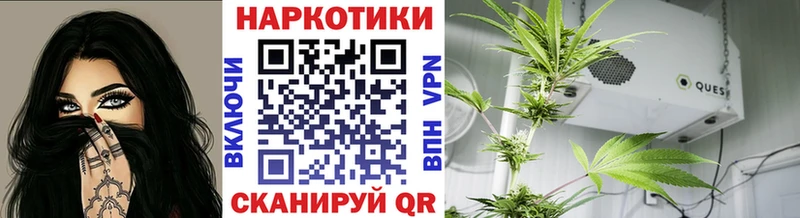 Где можно купить наркотики Подольск LSD-25  Кокаин  ГАШ  Меф  Каннабис  Псилоцибиновые грибы 