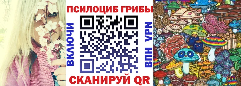 хочу   Подольск  Псилоцибиновые грибы Psilocybe 